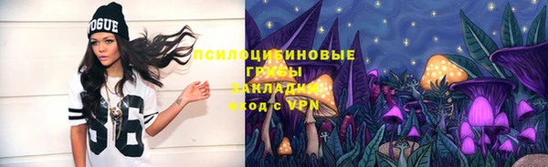 гидра Армянск