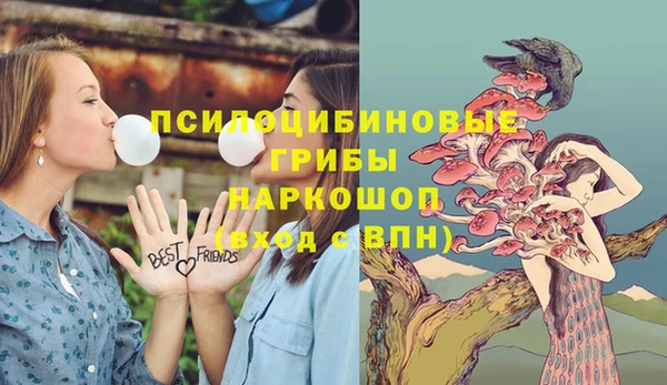 гидра Армянск
