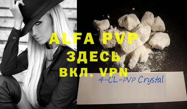 стаф Аркадак