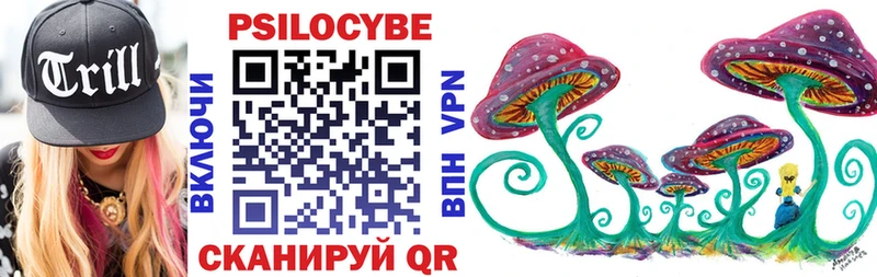 Псилоцибиновые грибы Psilocybine cubensis  наркота  Полярные Зори 